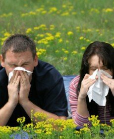 Sneezing from allergies 